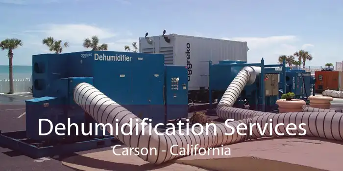 Dehumidification Services Carson - California