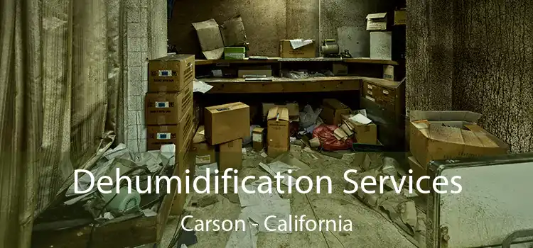 Dehumidification Services Carson - California