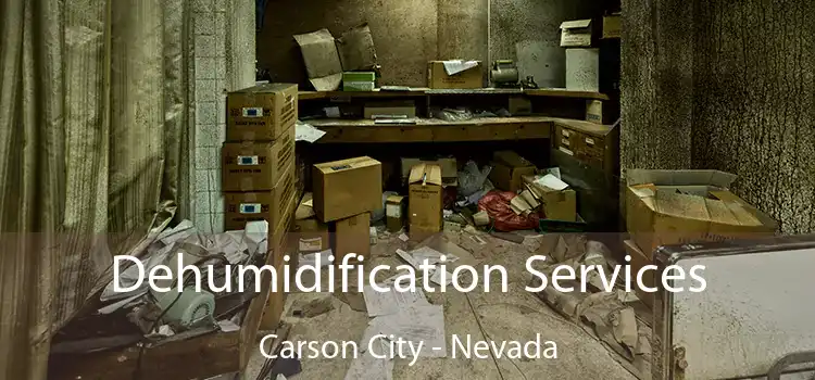 Dehumidification Services Carson City - Nevada