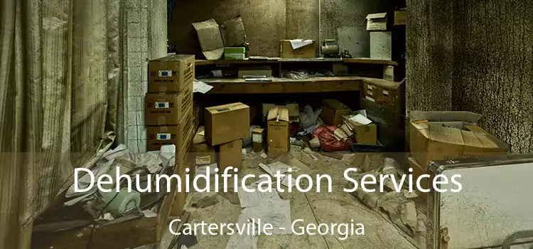 Dehumidification Services Cartersville - Georgia