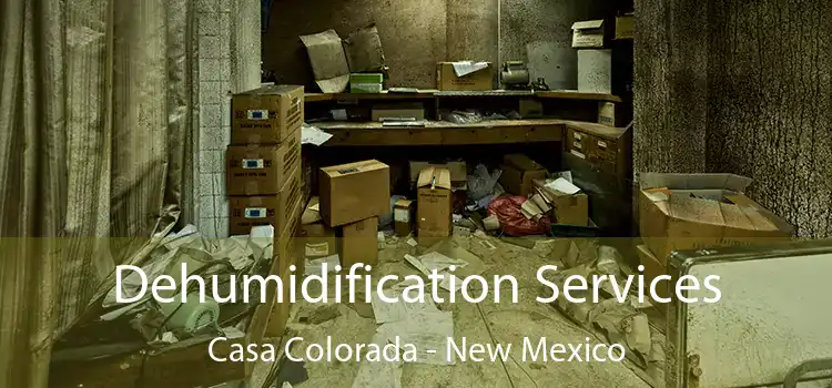 Dehumidification Services Casa Colorada - New Mexico