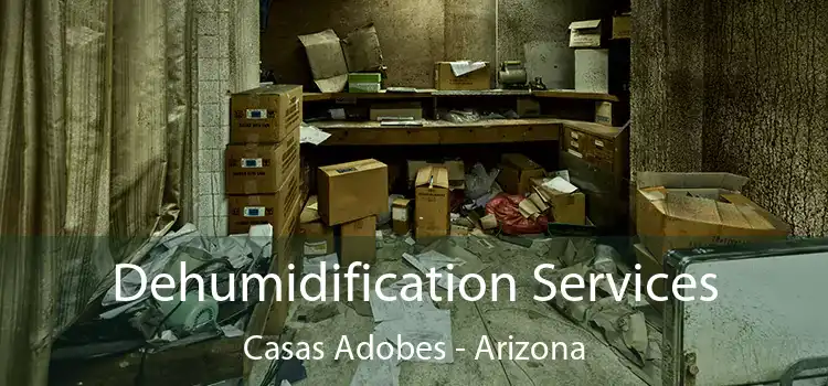 Dehumidification Services Casas Adobes - Arizona