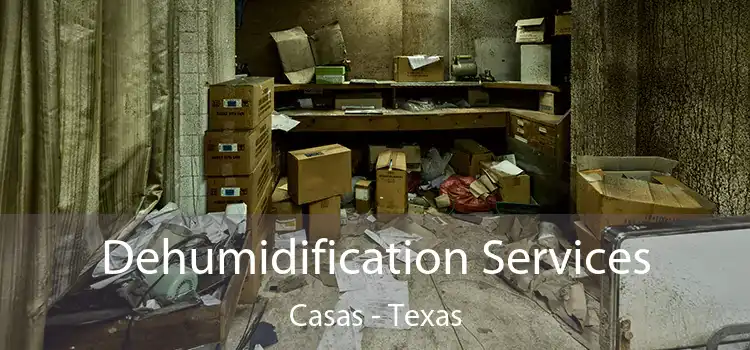 Dehumidification Services Casas - Texas