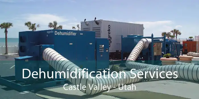 Dehumidification Services Castle Valley - Utah