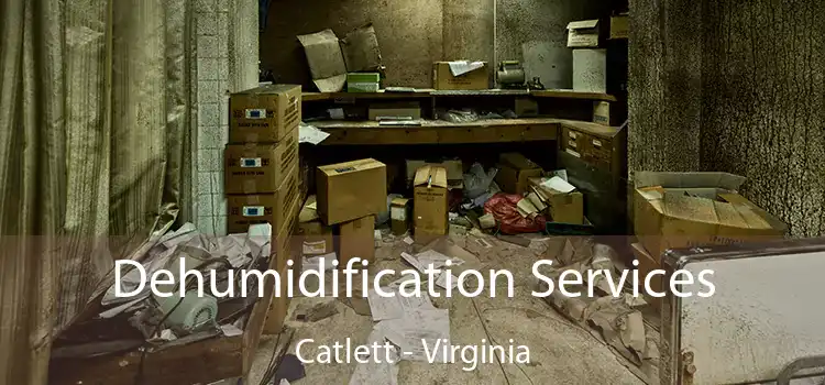 Dehumidification Services Catlett - Virginia