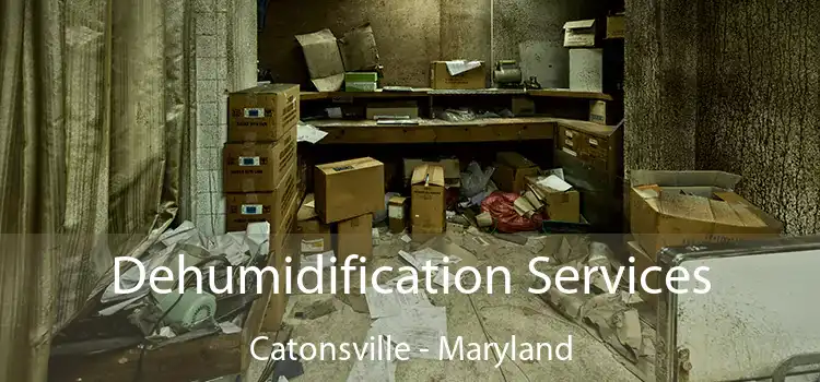 Dehumidification Services Catonsville - Maryland