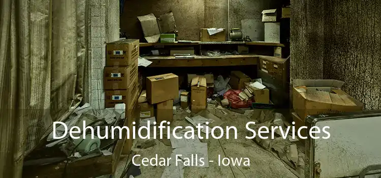 Dehumidification Services Cedar Falls - Iowa