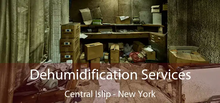 Dehumidification Services Central Islip - New York