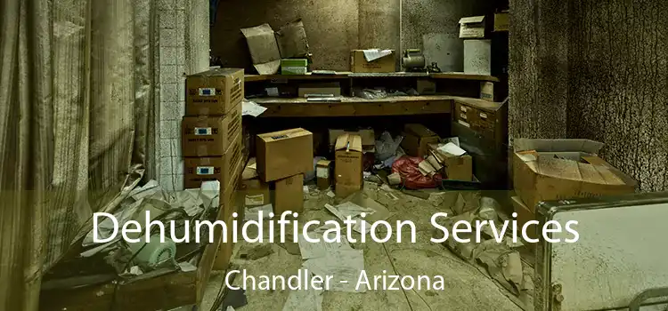 Dehumidification Services Chandler - Arizona