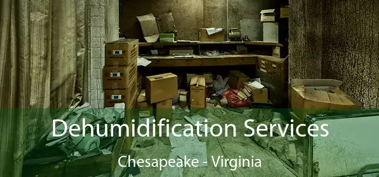 Dehumidification Services Chesapeake - Virginia