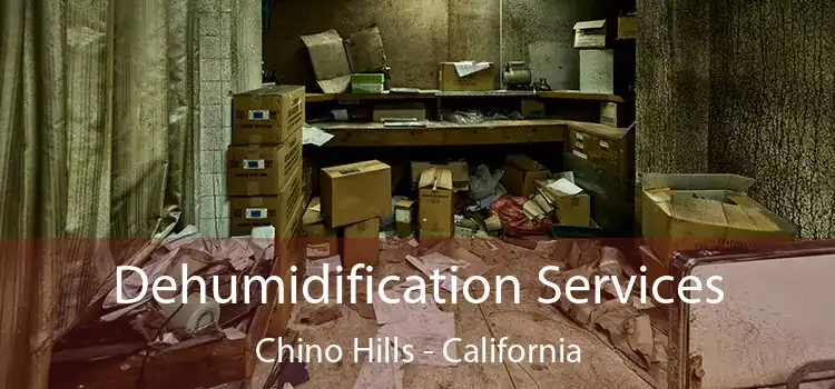 Dehumidification Services Chino Hills - California