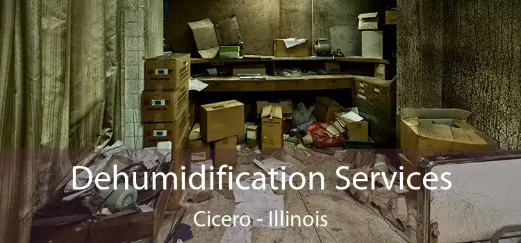 Dehumidification Services Cicero - Illinois