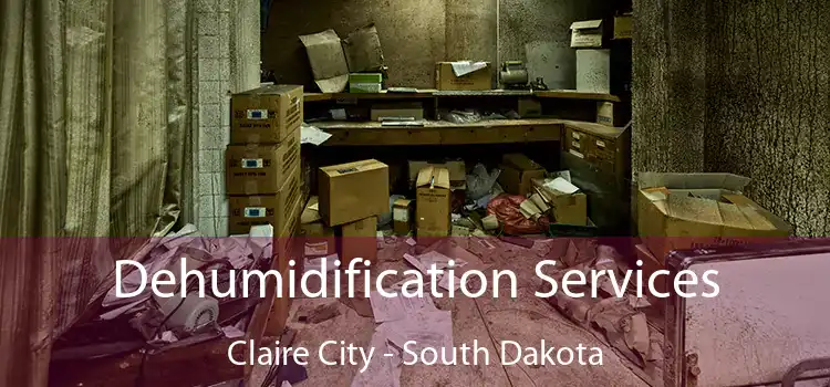 Dehumidification Services Claire City - South Dakota