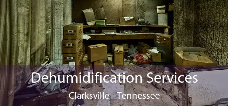 Dehumidification Services Clarksville - Tennessee