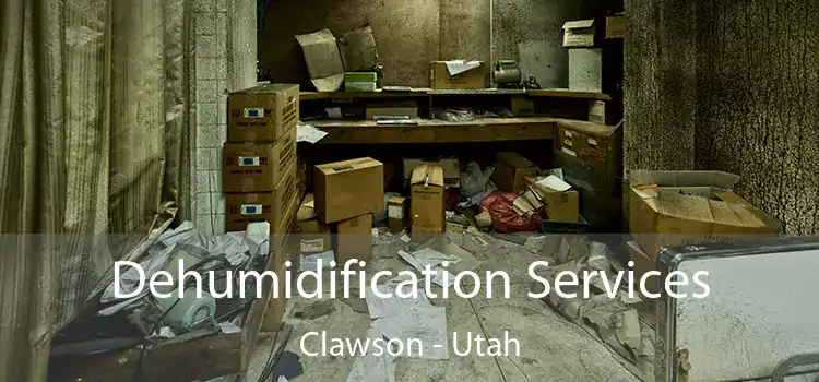 Dehumidification Services Clawson - Utah