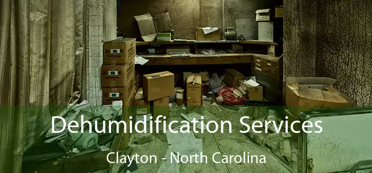 Dehumidification Services Clayton - North Carolina