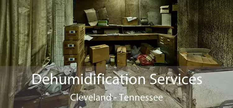 Dehumidification Services Cleveland - Tennessee