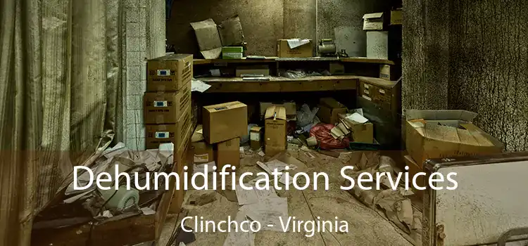 Dehumidification Services Clinchco - Virginia