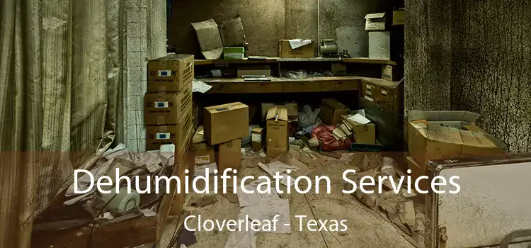 Dehumidification Services Cloverleaf - Texas