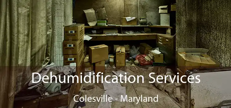 Dehumidification Services Colesville - Maryland