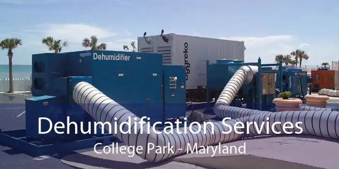 Dehumidification Services College Park - Maryland