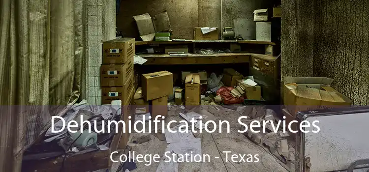 Dehumidification Services College Station - Texas