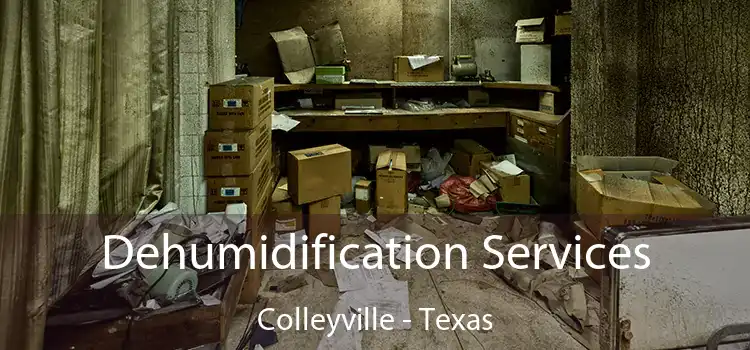 Dehumidification Services Colleyville - Texas