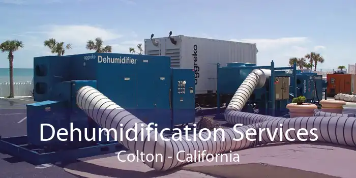 Dehumidification Services Colton - California
