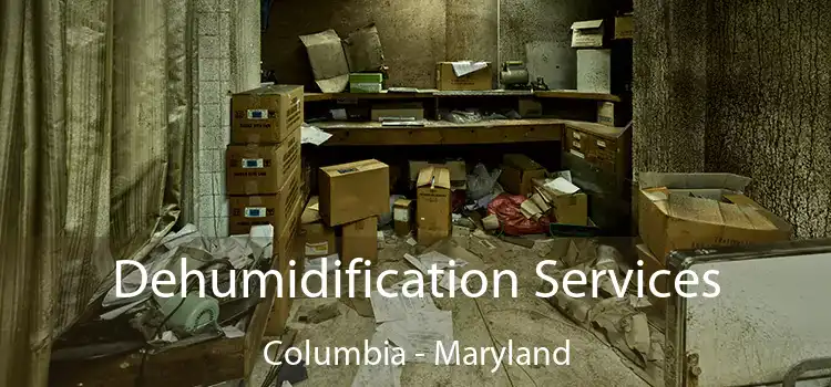 Dehumidification Services Columbia - Maryland