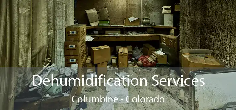 Dehumidification Services Columbine - Colorado