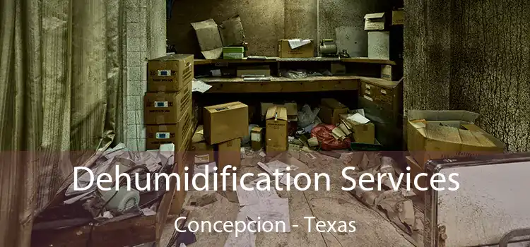 Dehumidification Services Concepcion - Texas