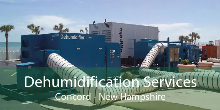 Dehumidification Services Concord - New Hampshire
