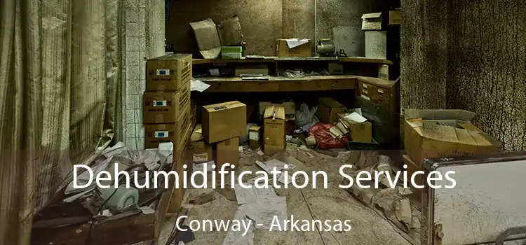 Dehumidification Services Conway - Arkansas