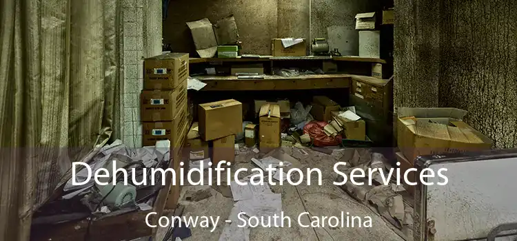 Dehumidification Services Conway - South Carolina