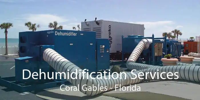 Dehumidification Services Coral Gables - Florida