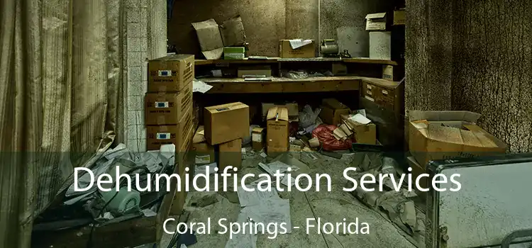 Dehumidification Services Coral Springs - Florida