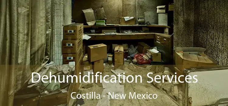 Dehumidification Services Costilla - New Mexico