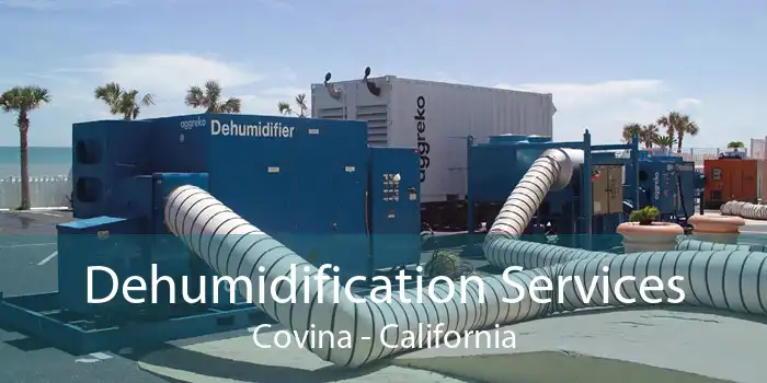 Dehumidification Services Covina - California