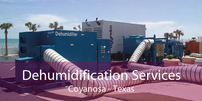 Dehumidification Services Coyanosa - Texas