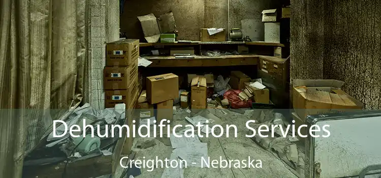 Dehumidification Services Creighton - Nebraska