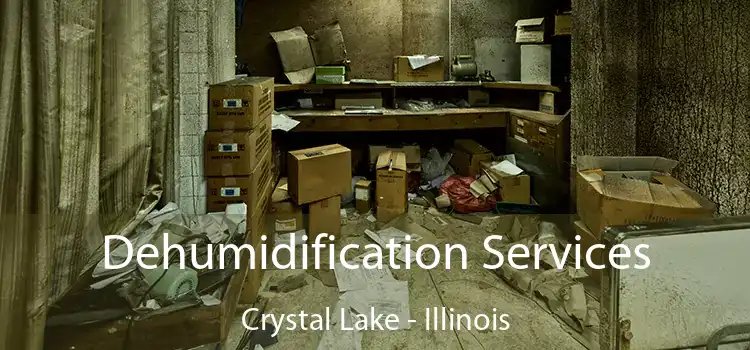 Dehumidification Services Crystal Lake - Illinois