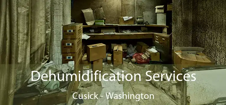 Dehumidification Services Cusick - Washington