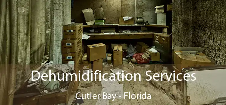 Dehumidification Services Cutler Bay - Florida