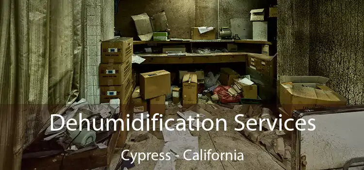 Dehumidification Services Cypress - California