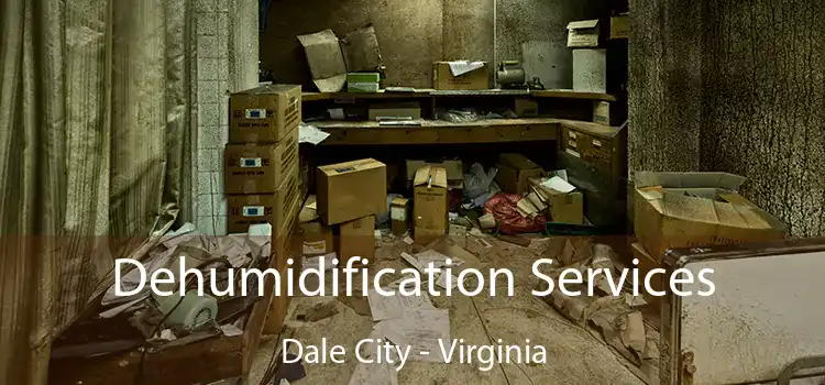 Dehumidification Services Dale City - Virginia