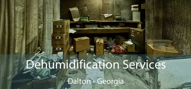 Dehumidification Services Dalton - Georgia