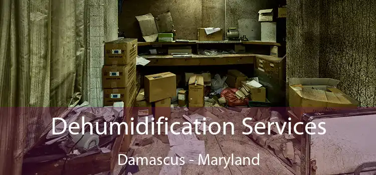 Dehumidification Services Damascus - Maryland