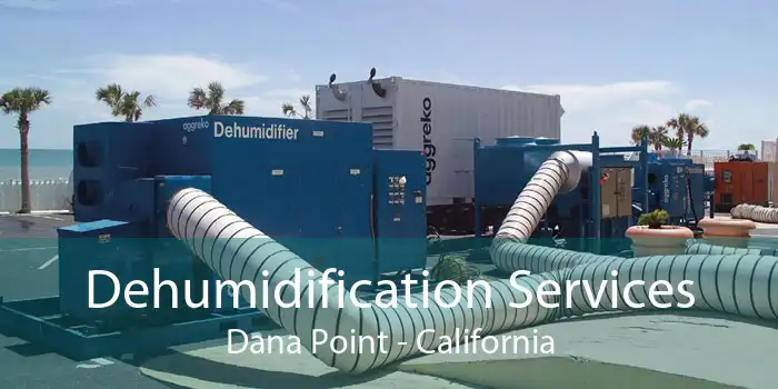Dehumidification Services Dana Point - California