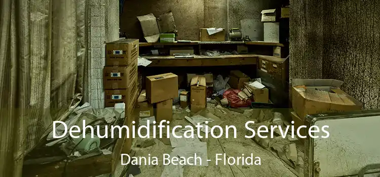 Dehumidification Services Dania Beach - Florida