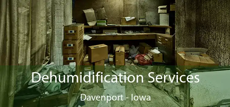 Dehumidification Services Davenport - Iowa